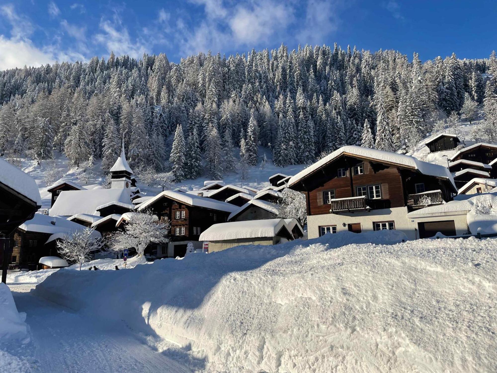 Haus Bortis