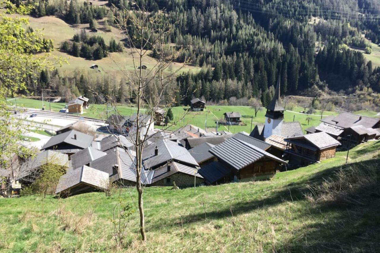 Appartement Haus Bortis *
